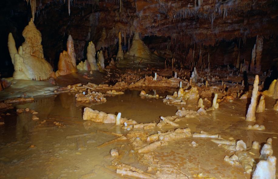 时期|艺术在原始人时期就已萌芽？498元的《史前艺术》告诉你