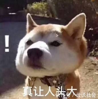 理科|别让理科男养猫,你永远不知道他会拿你的猫去计算些什么东西