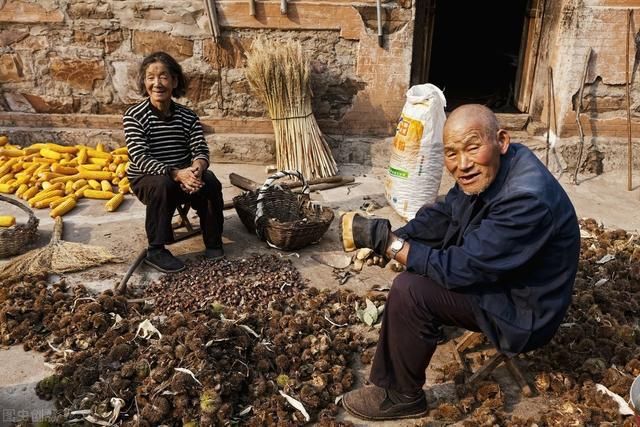  般的|凤凰传奇名存实亡？玲花老公一边蛮欺少女，一边拆散神话般的组合