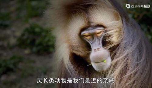  佳作|豆瓣预定超9分的佳作：原来我们错过许多惊喜，真遗憾没早点看到