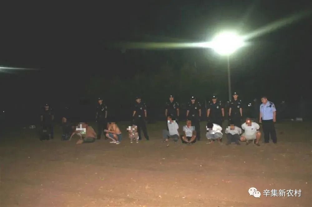 抓获|深夜！“细狗撵兔”进行赌博，田地里抓获31人！【辛集热门】