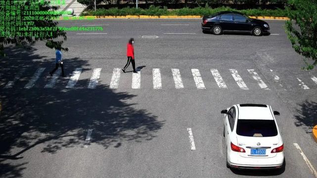 交警大队|盘锦市交警大队通报（第45期）