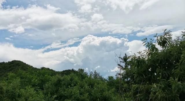 炽热|大暑：炽热炼心 清风自生