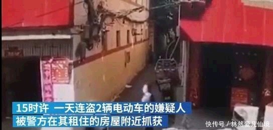 博士|拥有博士学历，却因偷车被抓; 文凭再高却好吃懒做，如何看待？