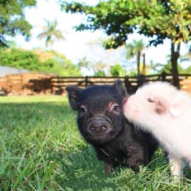  男朋友|天呐！！你和你男朋友的大量私密照和开房照被曝光了！！