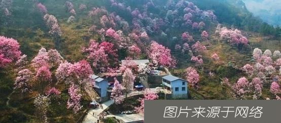  地址|追求美食梦想，不少人看出李子柒的地址，原来是住在四川平武