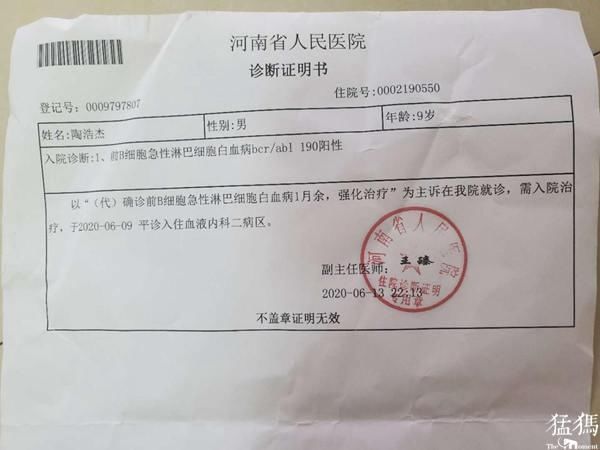 陶静文|郸城12岁女孩每天都去超市捡烂菜叶吃，背后原因令人心酸