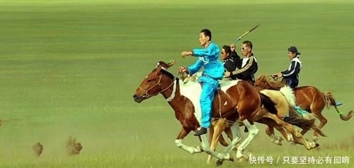 马匹|你知道打马印是什么吗？为何蒙古草原的马有烙印？长见识了