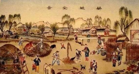 大肆|明朝年间发生了一件怪异的事情，朱元璋知道后大肆称赞