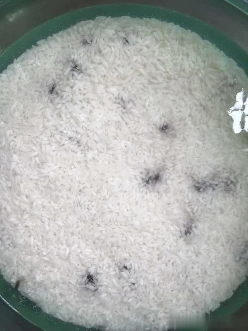  把咸鸭蛋|今天吃神仙蛋？啥叫神仙蛋？
