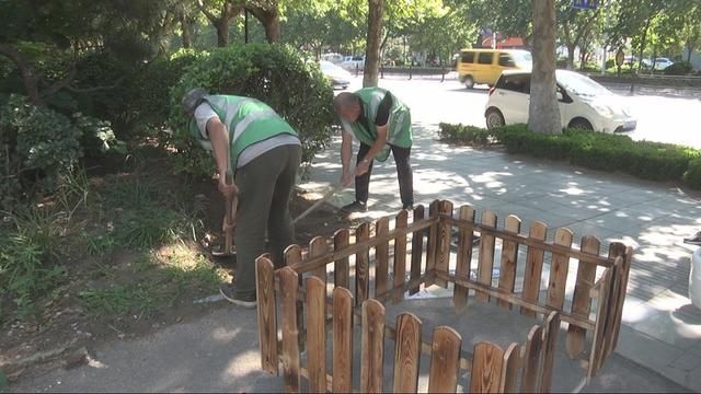  街头|文明养宠新手段 潍坊青州市街头现“宠物厕所”