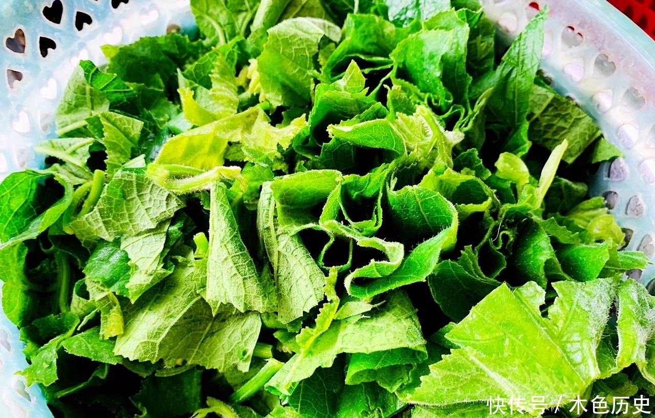 城里|这菜农村经常丢掉,城里却是个宝,三天两头吃一次,大肚腩不见了