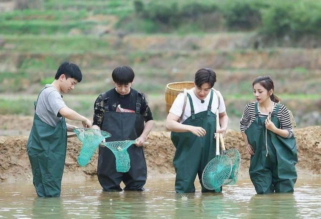  向往|《向往的生活》再一次收官，从节目中到底让我们获得了什么