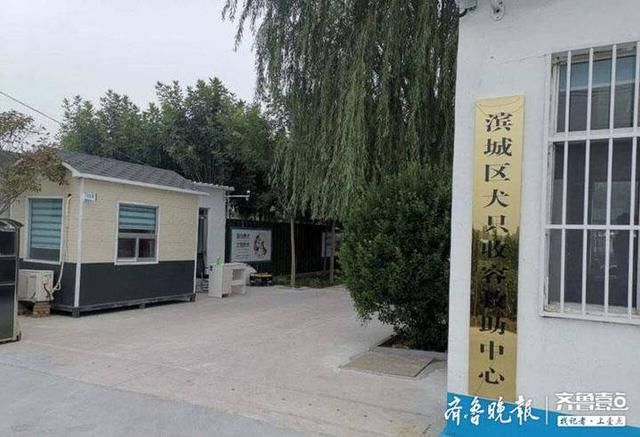  滨城区犬只收容救助|文明养犬在行动丨滨州公安民警带您了解流浪犬的“家”长啥样？