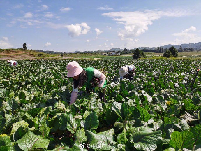 发货|发货啦!你饭桌上的菜,竟然是从这里打包发货的