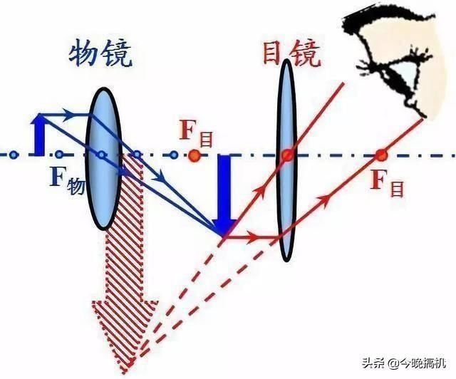 垃圾|辣条到底是不是垃圾食品显微镜下放大120倍,终于敢大胆地吃了
