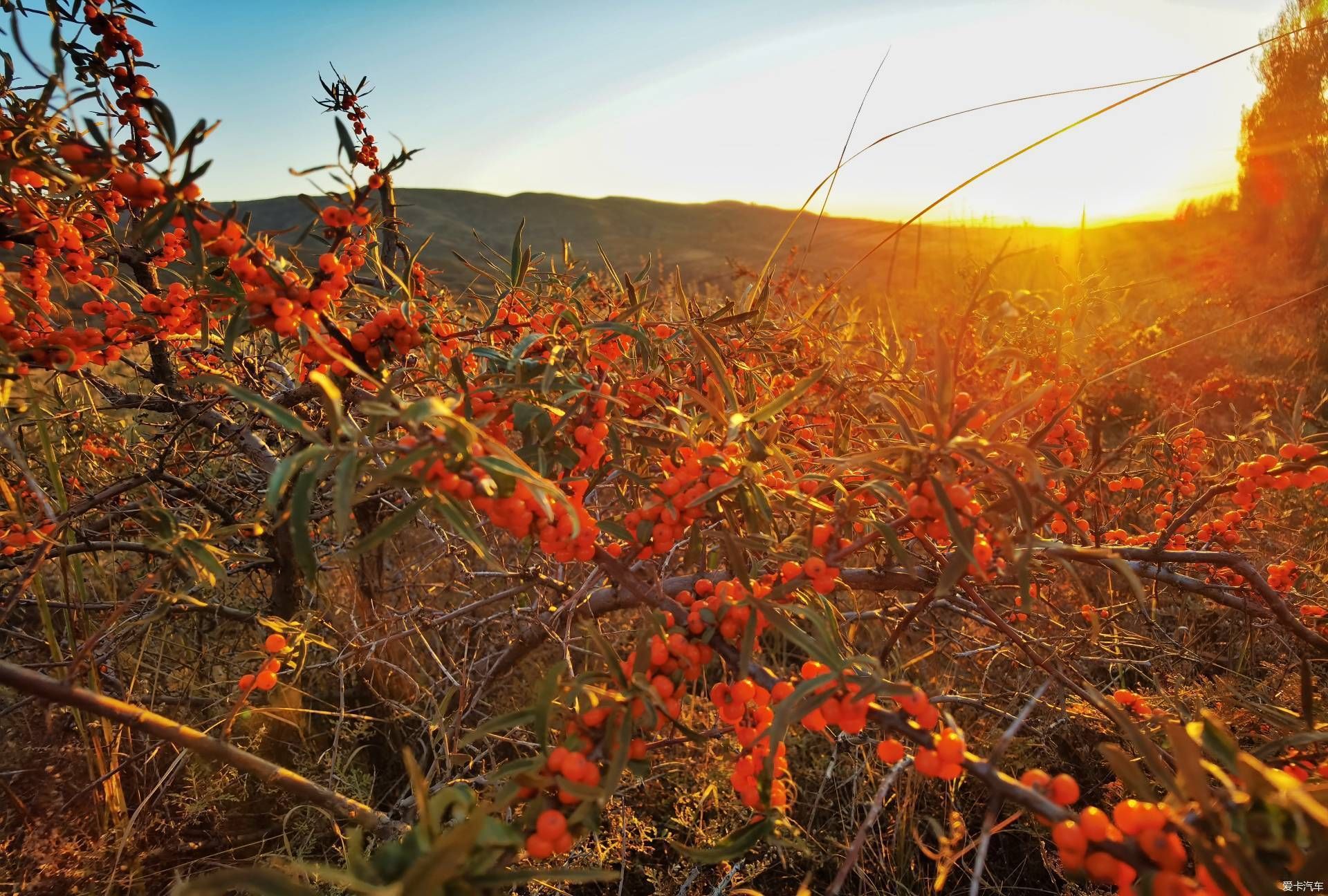 拾遗|晋西北拾遗
