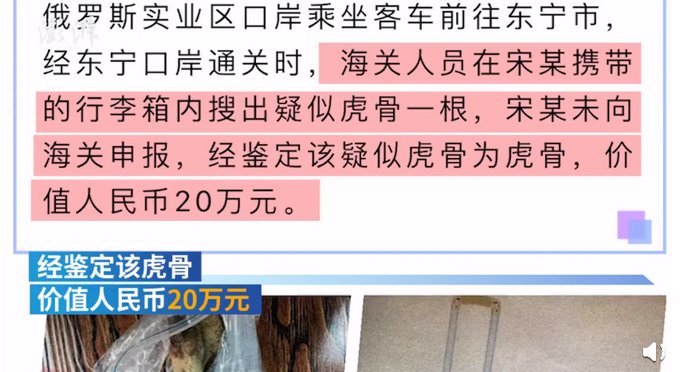 带回|农民工出国务工拾虎骨带回国内获刑5年，经鉴定价值20万元