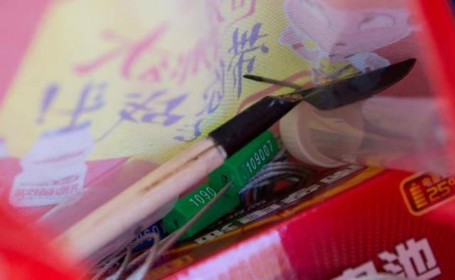  追踪|在北京追踪野生动物：15岁女孩红外相机里的城市秘影