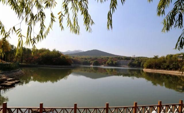 身份证|这些景区凭身份证就能进，你知道吗？