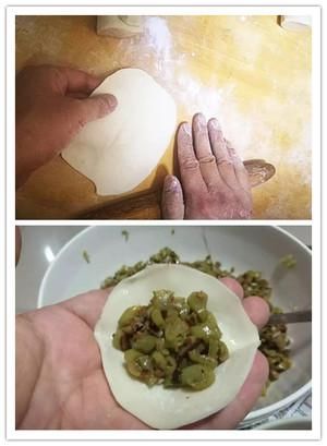 香菇|头伏饺子二伏面 饺子已出锅 防暑又解馋~营养又美味