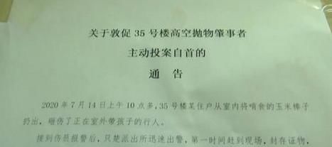  肇事者|天降玉米棒砸伤行人，小区硬核通告吓出抛物肇事者