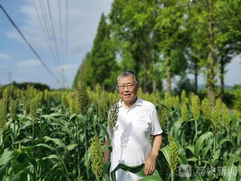 除了美景，《新千里江山图·锦绣江苏》里还有这些动人故事