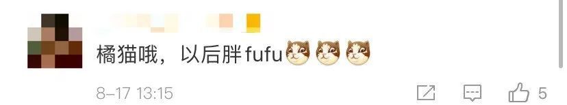  奶猫|流浪奶猫暴雨中被警察蜀黍救下，还在警队找到了工作……