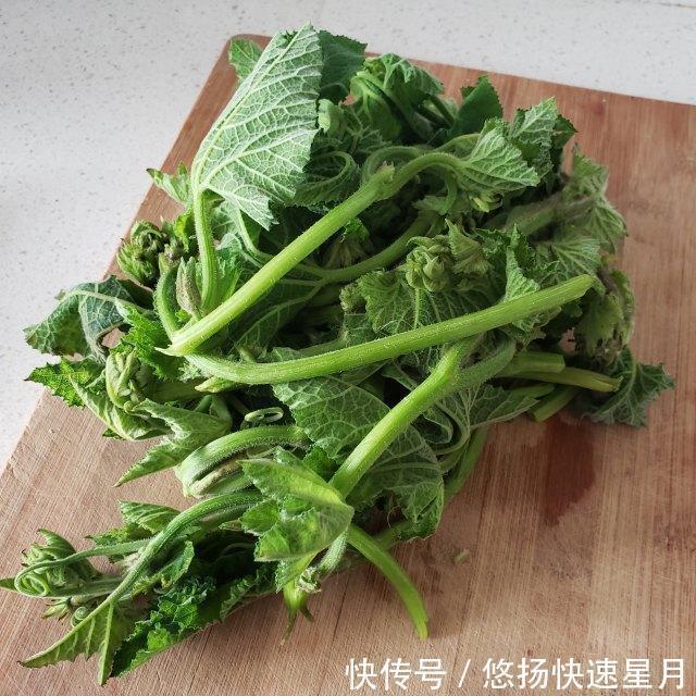  清炒|清炒南瓜苗，清脆爽口的农家菜