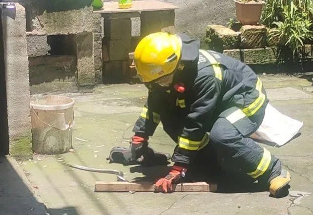  大伯|心好大！缙云程大伯被五步蛇咬伤，只是用水冲了冲……