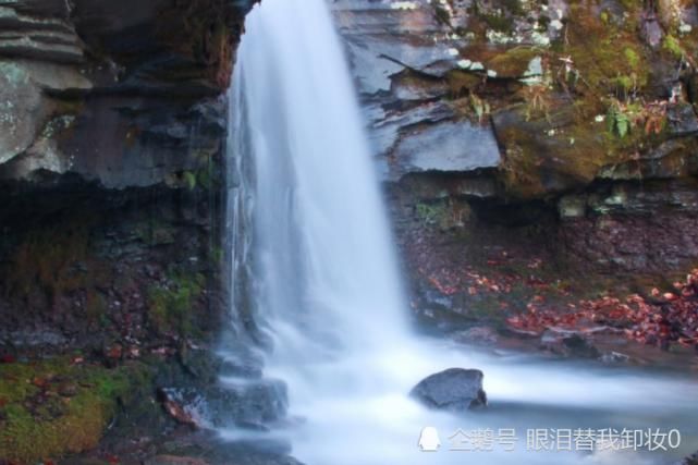  横财|八月开始，横财不断，贵人提携，富贵一整年的生肖