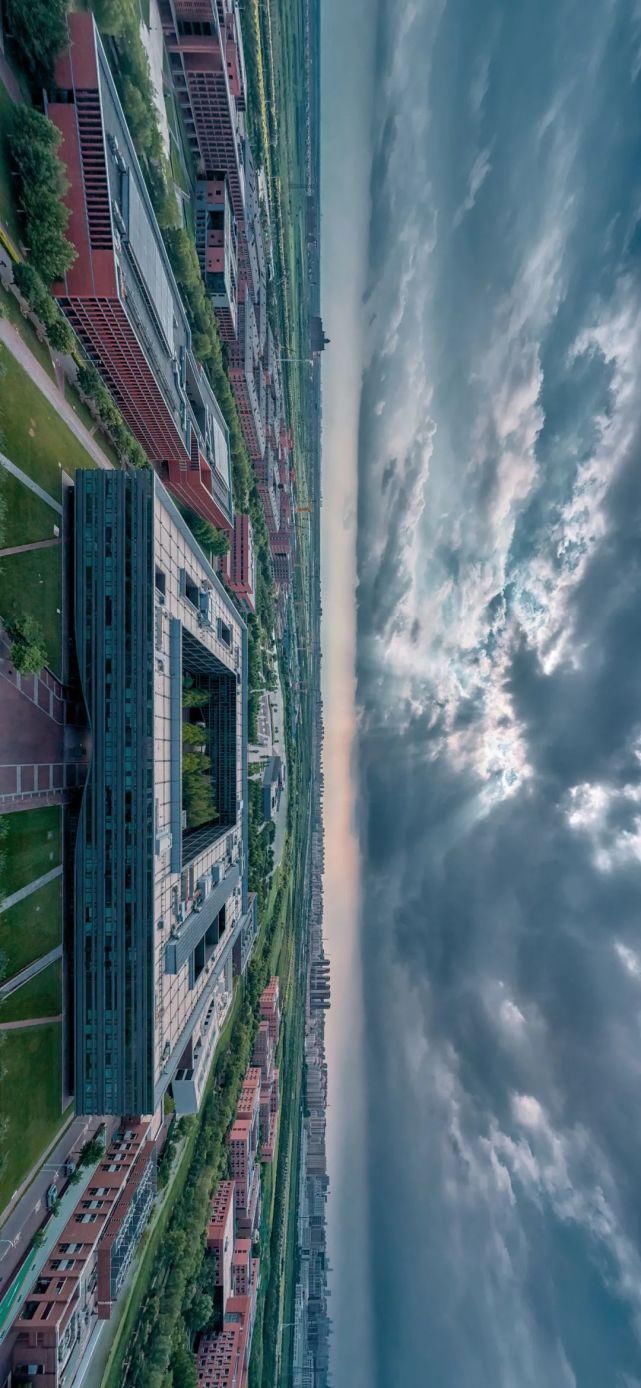 北洋园|啊,我的天大啊!