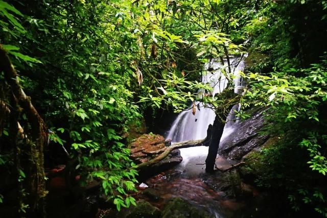  角落|一起去爬山吗？正经的那种，江西这些登高望远“隐秘的角落”，你去过几个？