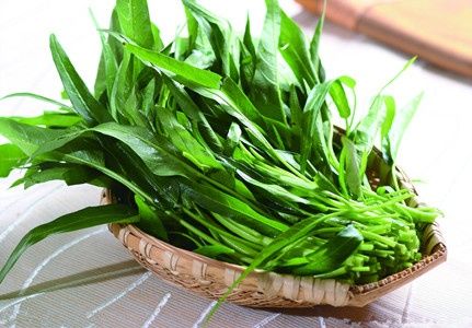 爱人|幸福的“青菜爱人”