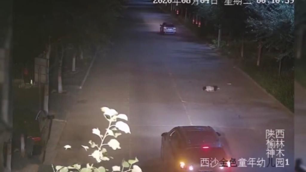  机动车道上|高二男生凌晨醉酒倒地睡在机动车道，被同样醉酒司机驾车碾压身亡