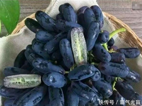  全家|此树非常高产，沾土就活，甜度高，院子里种一株，来年全家吃不完