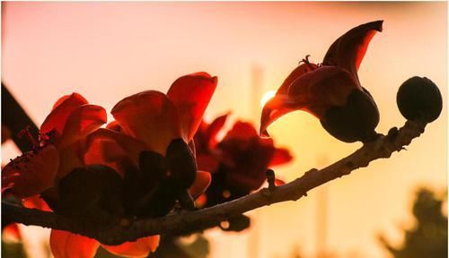  财运|2020年下半年几大星座财运好，咸鱼翻身，赚得钵满盆满什么都不愁