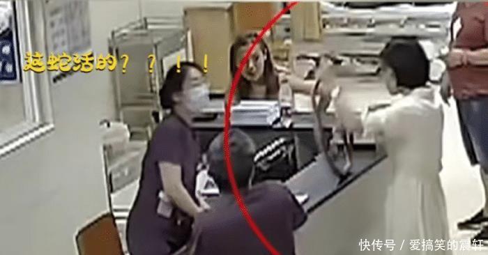  就医|大心脏女子草丛捡手机被蛇咬，手提活蛇淡定排队就医