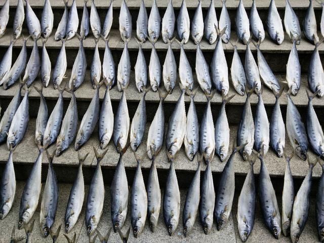 特别|这6种海鲜晒干后,比新鲜还好吃,放一年都不坏,煮汤炖肉特别香