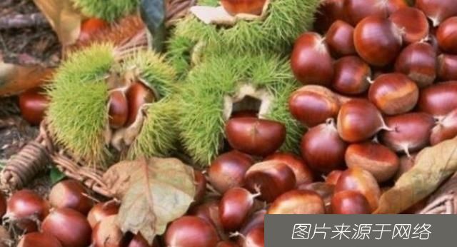  滋润|女性担心自己老得快，要坚持吃3种食物，排毒养颜、滋润肌肤！