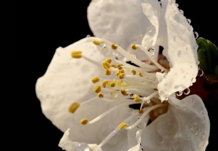 十月|十月中旬开始，运势红火，财运上佳，事业突飞猛进的生肖