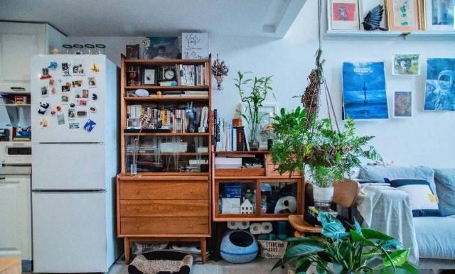  友钱的家|现在的年轻人，不住300㎡要住30㎡？