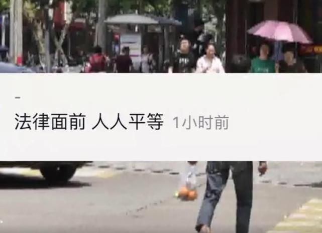 车主|老人闯红灯被撞,交警判其全责,老人儿子:我爹是“弱势群体”