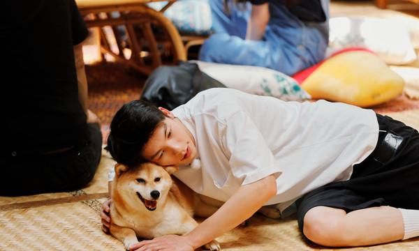  许光汉|跟娜娜一起上综艺，许光汉被嫌太尴尬！《向往的生活》挨骂回应了