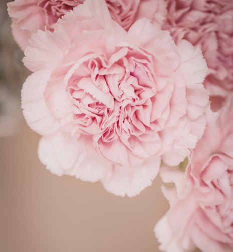  幸福|8月份好运的4大生肖，桃花开幸福来，事业升金钱到