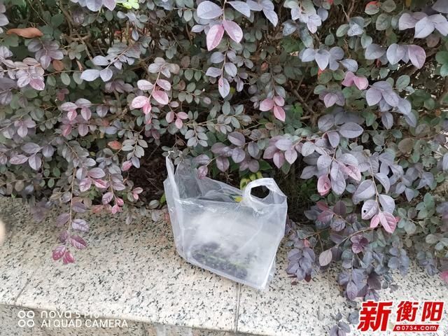 游客|向不文明行为说“不”：游客乱扔垃圾 生态公园很“受伤”