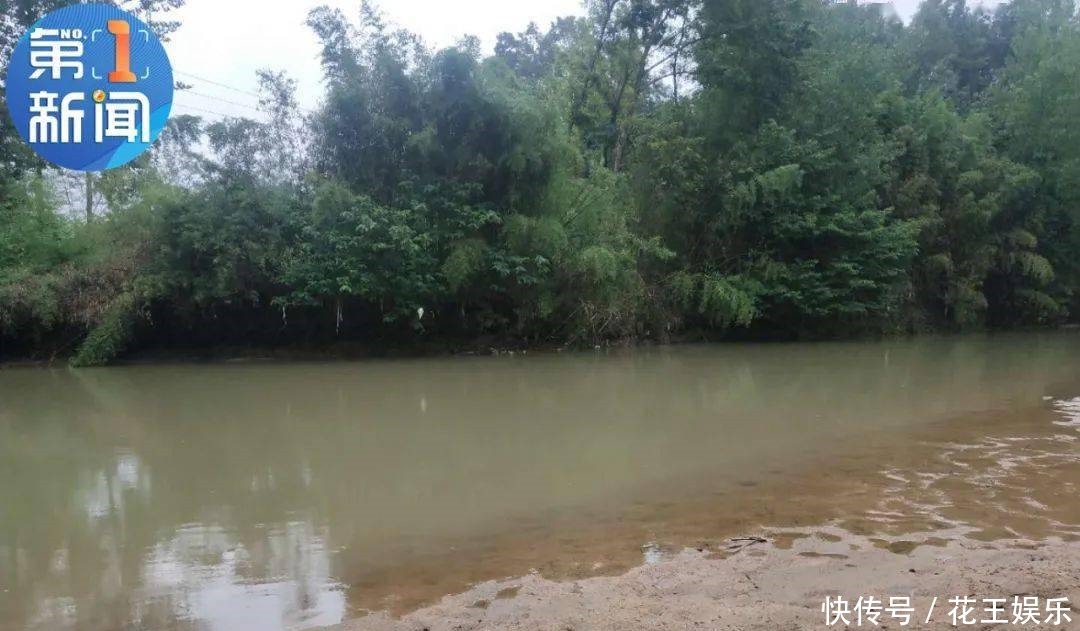 发生|在夏天溺水高发悄然发生。尽管反复强调但是悲剧还是发生了