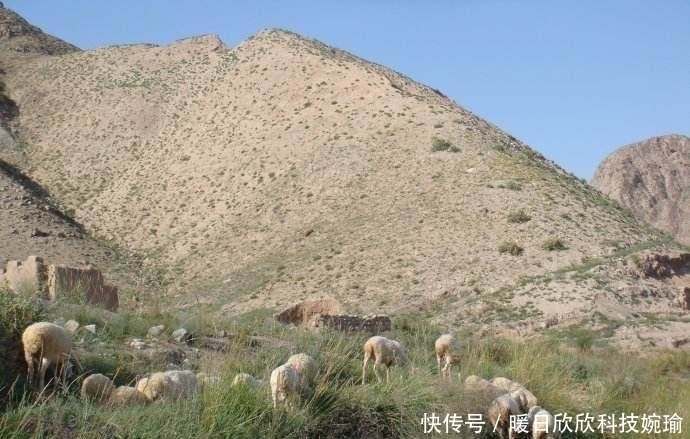 封锁消息|这家人挖窑洞挖出唐朝第1位和亲公主墓,竟然封锁消息偷偷发横财,与吐谷浑有关