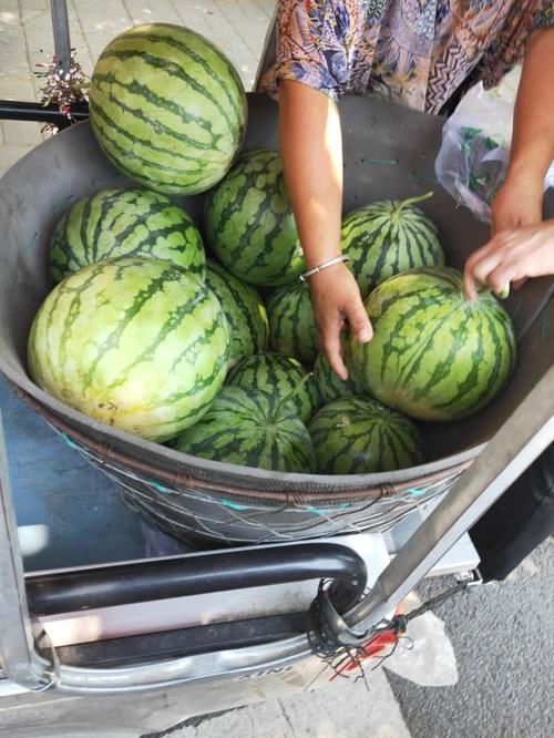  没想|路边摊买麒麟瓜，以为便宜，却没想被骗惨了，小伙：同情心惹祸！