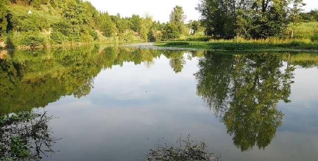  夏天|夏天钓板鲫也不难，滑漂远投钓板鲫实战技巧讲解